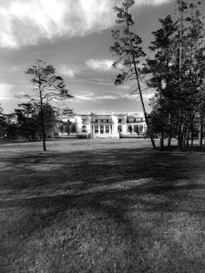 Guggenheim Mansion in distance. A pond formerly rested in the field. 