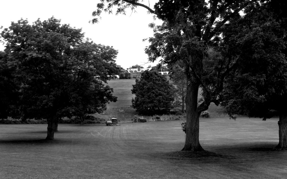 One of many fields around estate