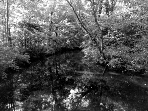 Raritan River on property