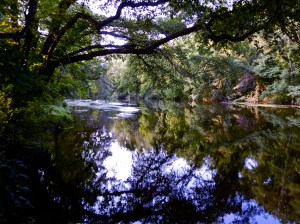 Canal in neighboring Rocky Hill, NJ.
