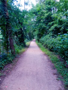 Trails in Princeton (Where I often am).