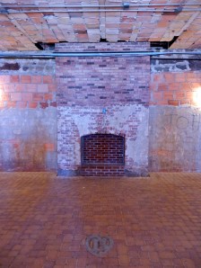 Lounge fireplace in basement. There is a balcony behind me looking into the pool. 