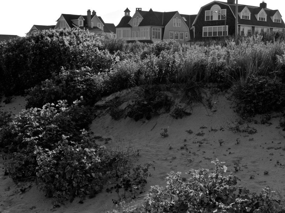 Beautiful water front homes peering over the sand dunes. 