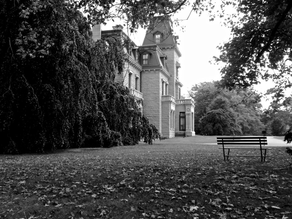Chateau-Sur-Mer hiding behind a beautiful Weeping Beech Tree.